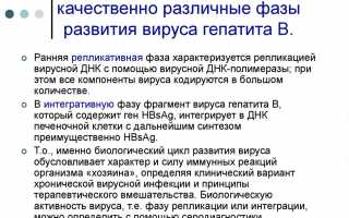 Как передается и развивается гепатит В