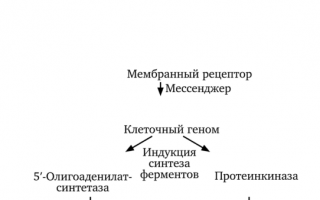 Интерфероновая терапия гепатита С