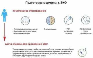 Можно ли делать ЭКО если у женщины или мужа гепатит