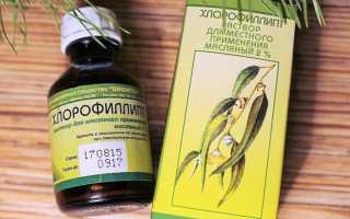 Лечение кашля эвкалиптом: народное и традиционное
