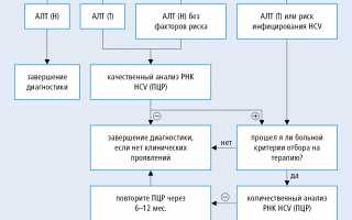 Чем отличаются гепатит С и ВИЧ и их взаимосвязь