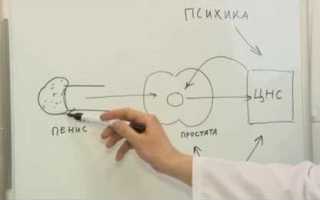 Преждевременная эякуляция