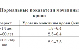 О чем говорит низкий показатель мочевины в крови