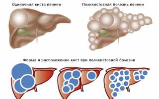 Кто такой гепатолог, что он лечит и как проходит обследование?