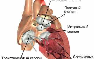 Фиброзная дистрофия клапанного аппарата