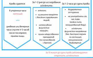 Анализ на вирусную нагрузку и ее норма при гепатите С, таблица с расшифровкой