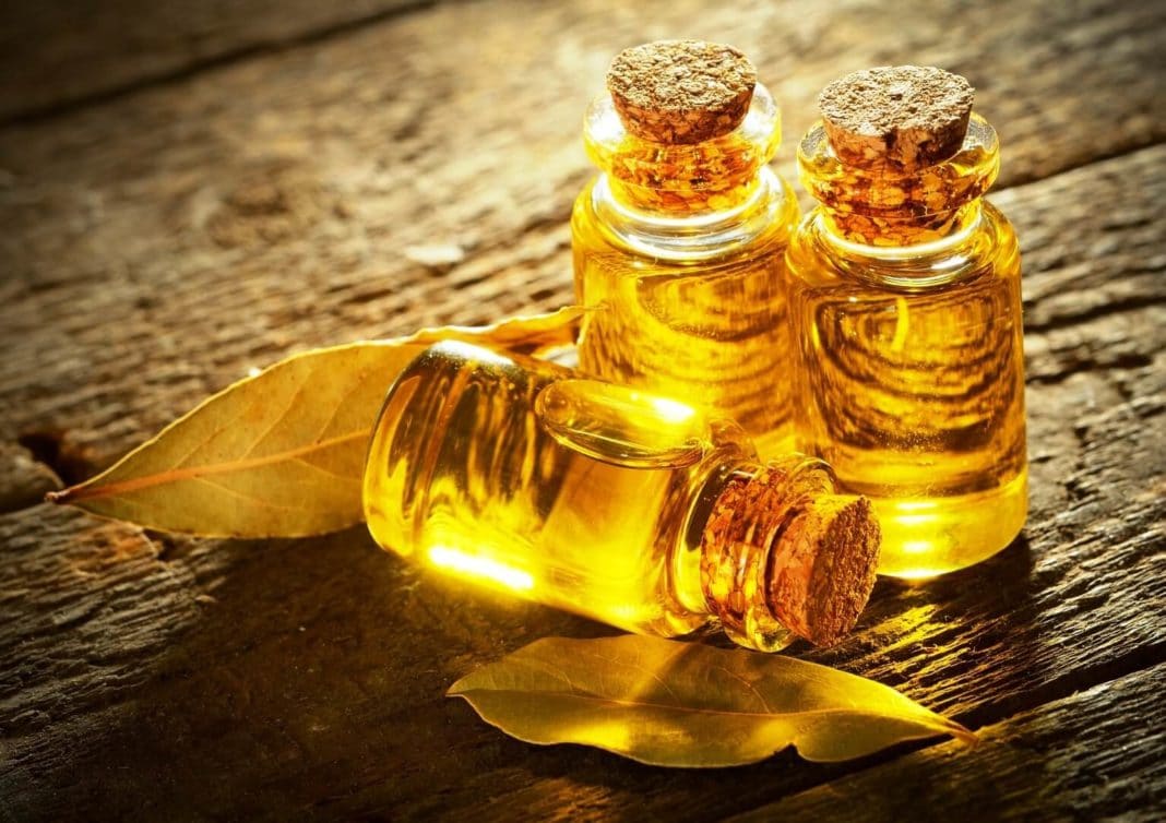 Лавровое масло – народное средство если продуло грудную клетку